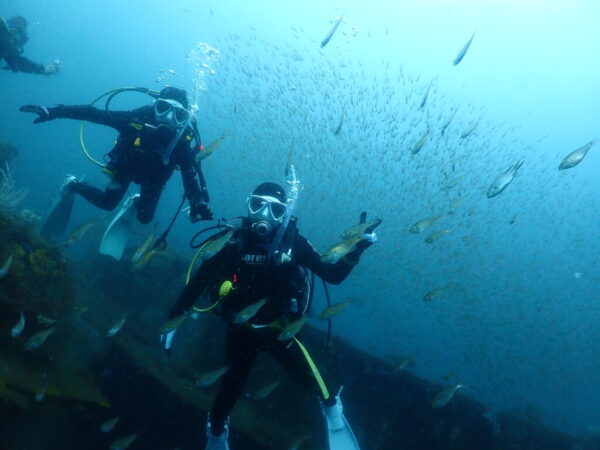 <span class="title">夏の熱海へ行ってきました♪</span>